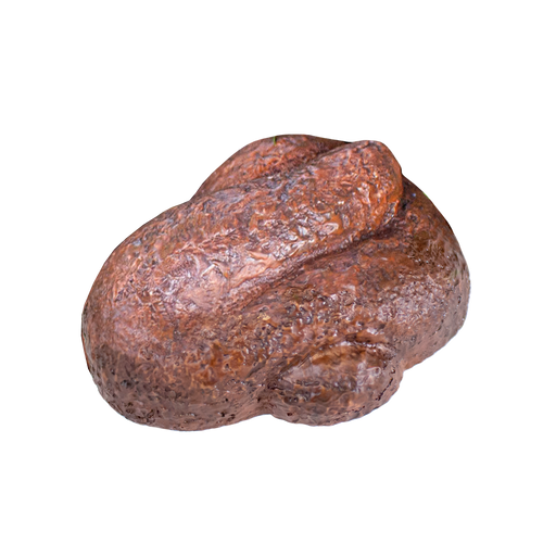 Lucky Line | Doggie Doo Key Hider 1/Clamshell Key Hider Lucky Line