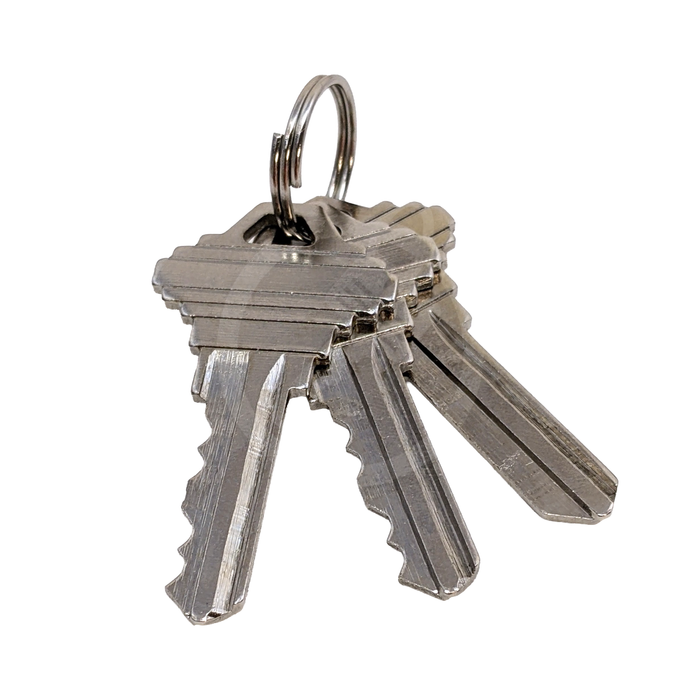 Clear Practice Lock with Standard Pins Practice Lock BAY-CO